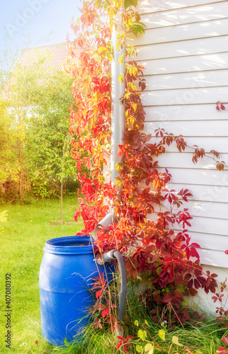 barrel rain water sun