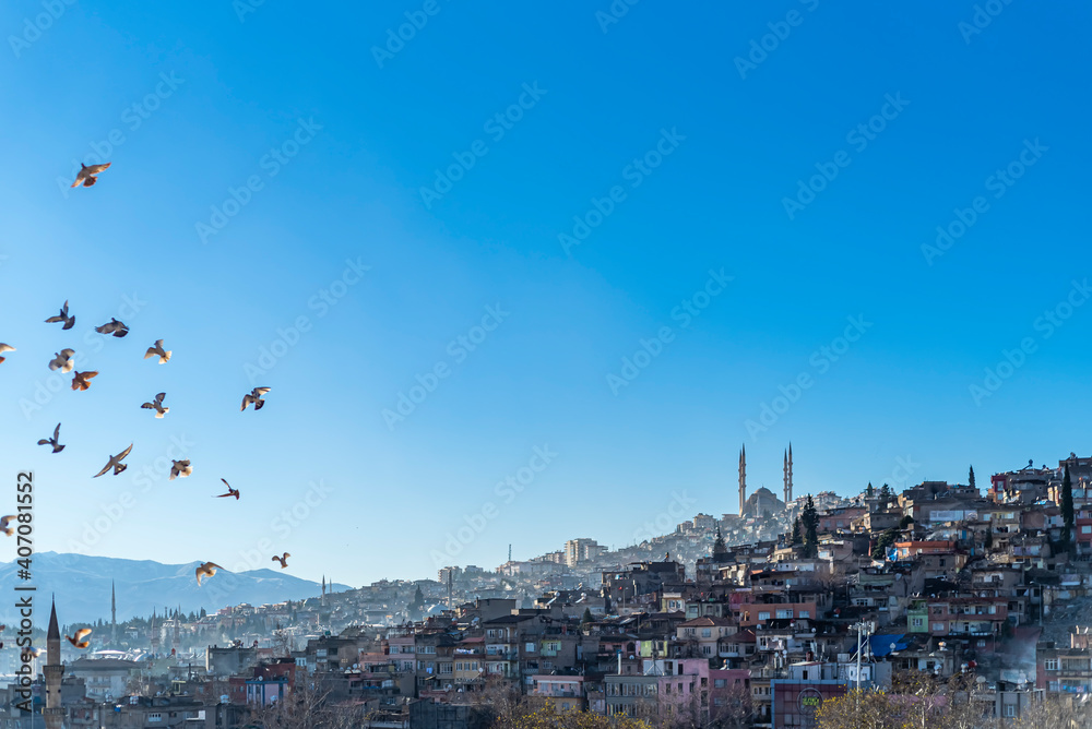 Kahramanmaras city skyline and mosque with man pigeons