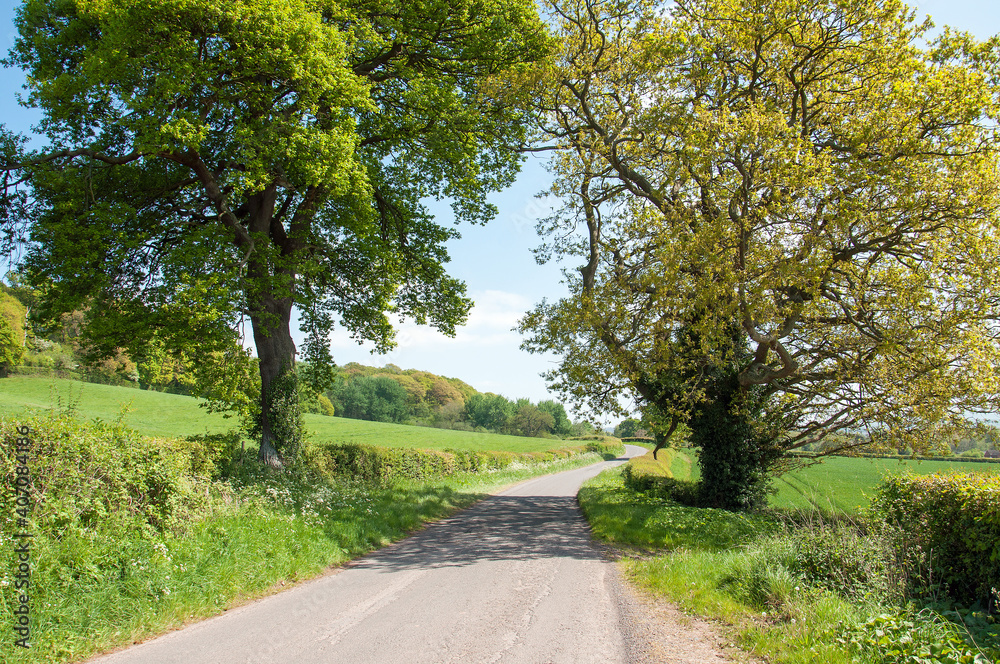 Summertime country lane in the English countryside. Summertime country lane in the English countryside.