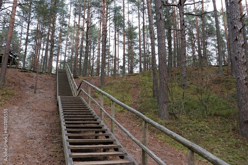 Wooden stepped path on the hillside for walking in the forest