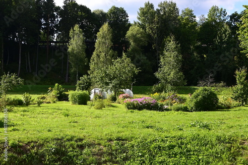 Wald und Wiese im Gaujas Nationalpark, Lettland, Latvia photo