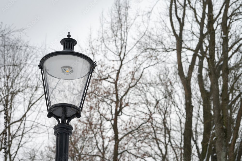 Led lamp in the park
