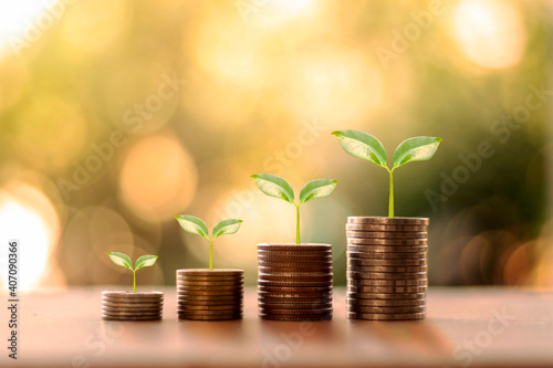 Tree growing on coin pile and blurred green nature background money growth concept and business success concept.