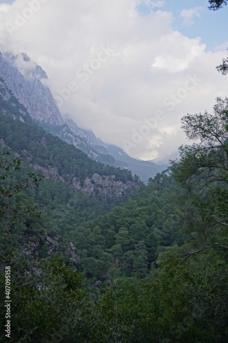Forest, Hills, and mountains at the Goynuk, Antalya © Plekhanov Viacheslav