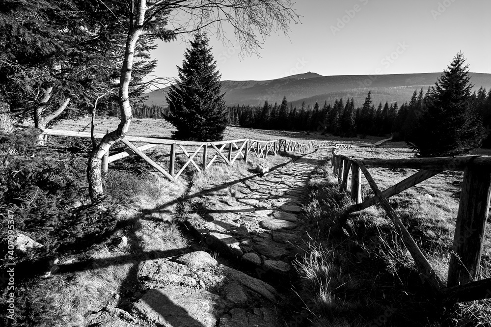 Fototapeta premium tourist trail in the clearing during autumn in the Giant Mountains