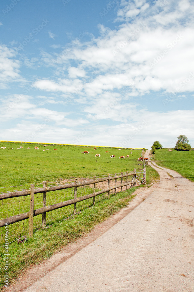 Farming landscape with a fence