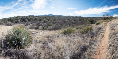 Oracle State Park
