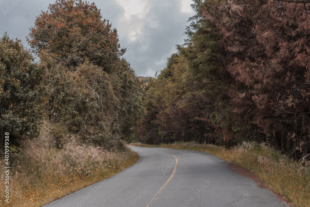 Fototapeta premium nevado
