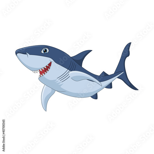 Cartoon shark on white background