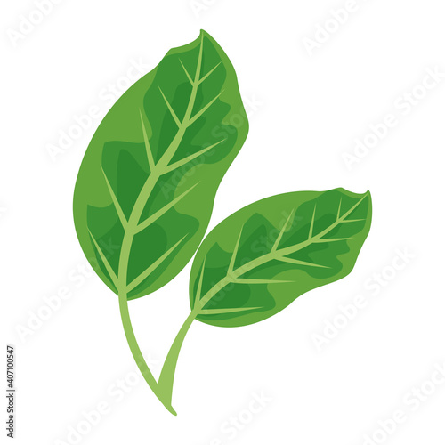 leafs plants nature isolated icons