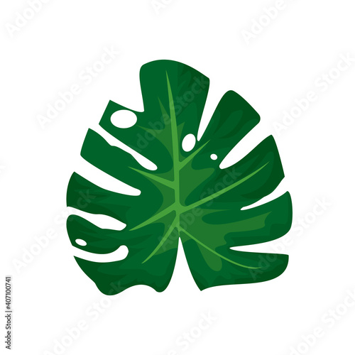 leave monstera plant green nature icon