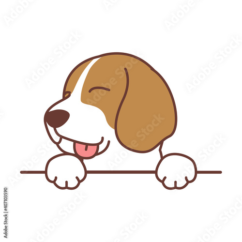 Cute beagle dog paws up over wall, vector illustration