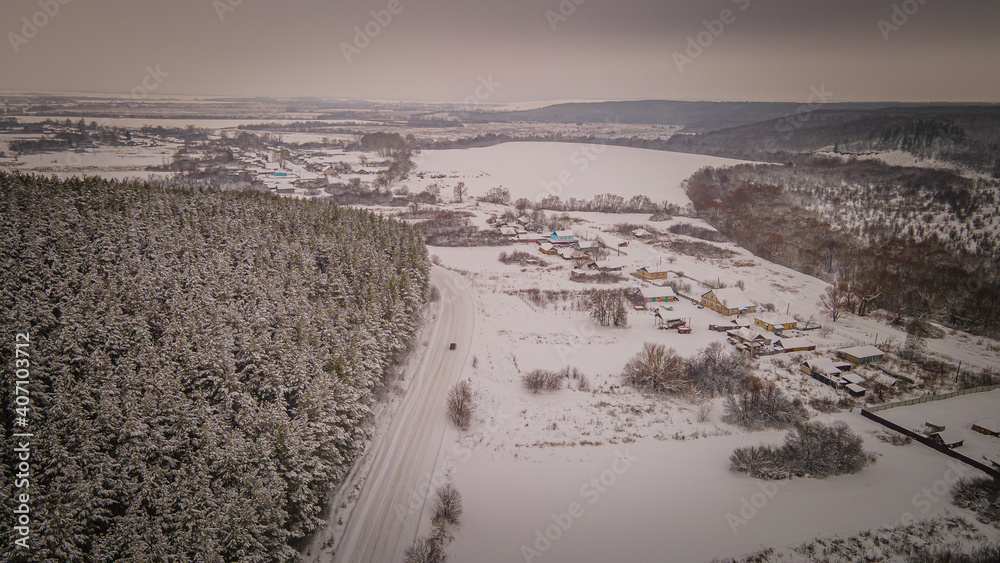winter pine forest in the countryside of the Penza region