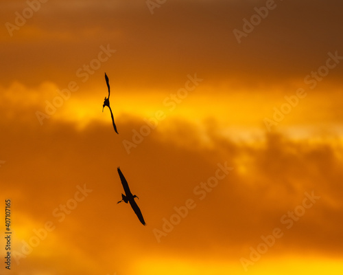 Sunrise