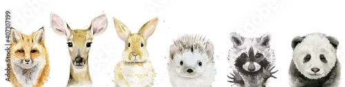 Panel kuchenny z motywem Watercolour Animal set. Fox, fawn, rabbit, hedgehog, raccoon and panda. Watercolor illustration on white.