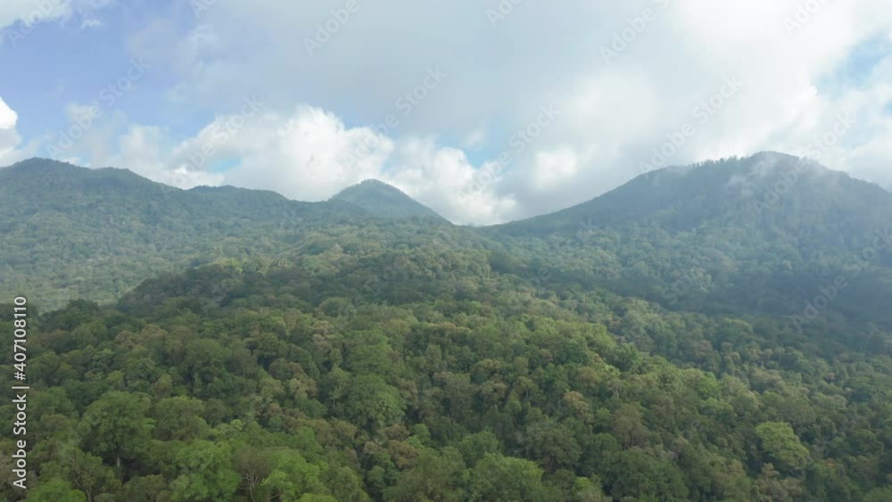 Drone Over Lush Green Forests Drone Over Lush Green Forests