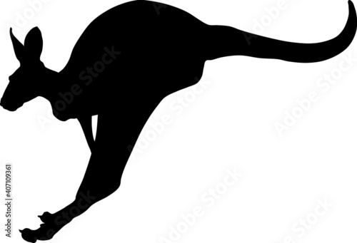 kangaroo silhouette vector