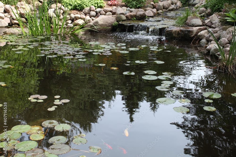 pond with lilies, GREEN TREE, REFLECTION , WATER, STONE, pond with lilies, GREEN TREE, REFLECTION , WATER, STONE,