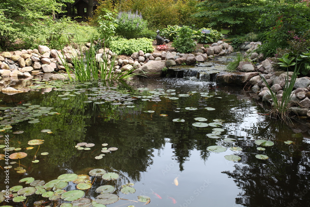 pond in the garden, LILY PAD, MAINTAIN GARDEN, WATER LILIES, SHALLOW LAKES, pond in the garden, LILY PAD, MAINTAIN GARDEN, WATER LILIES, SHALLOW LAKES,