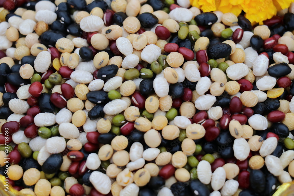 A variety of nuts in a cup,soy bean,Red beans,Green beans,Peanut A variety of nuts in a cup,soy bean,Red beans,Green beans,Peanut