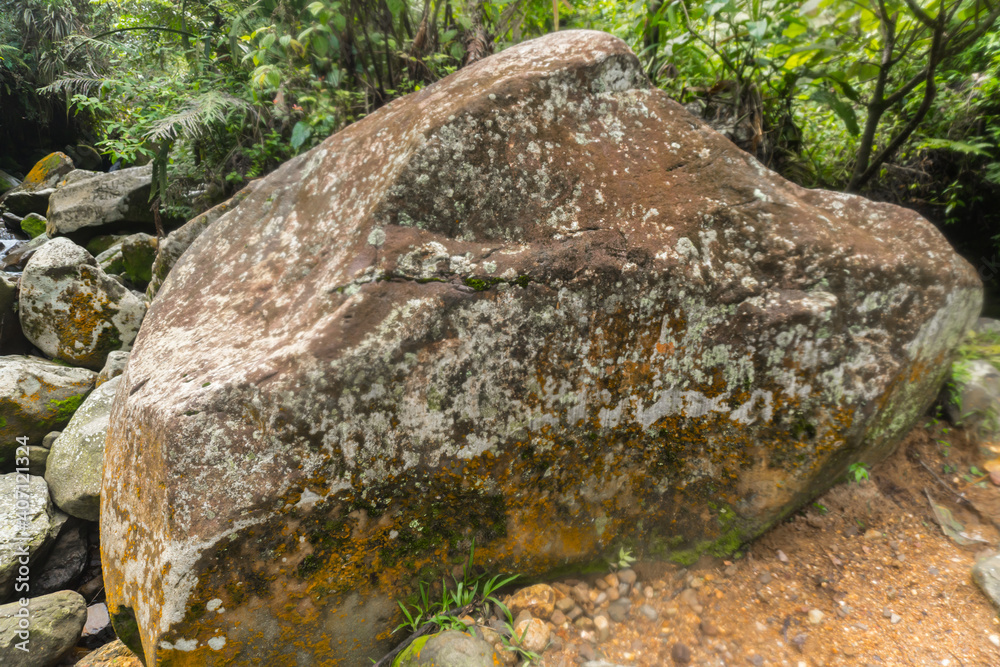 Selectively focus on mossy rocks in the wild Selectively focus on mossy rocks in the wild