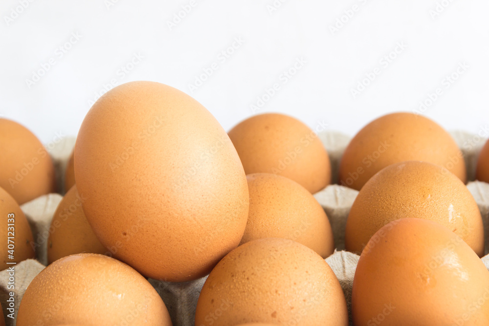 Eggs in egg tray white background, close up Eggs in egg tray white background, close up