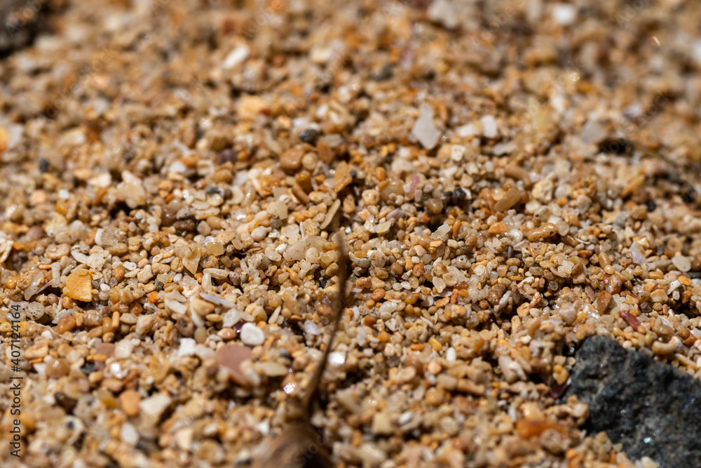 Macro of sand