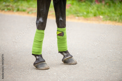 Close-up of a green bandages and horse hoofs