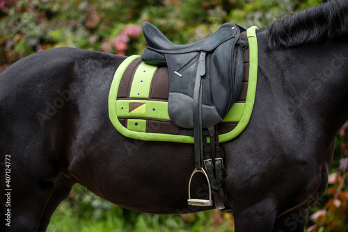 Close-up of a saddled black horse with a green saddle cloth
