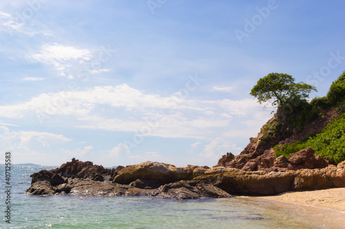Tree on mountain rock on beach and see  sky and cloud background daytime © Natapob