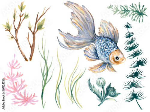 Illustration watercolor hand paint isolated asian goldfish and aquatic plants seaweed foliage oriental festive season spring and summer elements