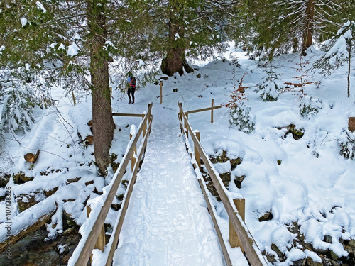 Small wooden bridges covered with fresh alpine snow on the slopes of the Alpstein mountain range, Ennetbühl or Ennetbuehl - Canton of St. Gallen, Switzerland (Schweiz) photo