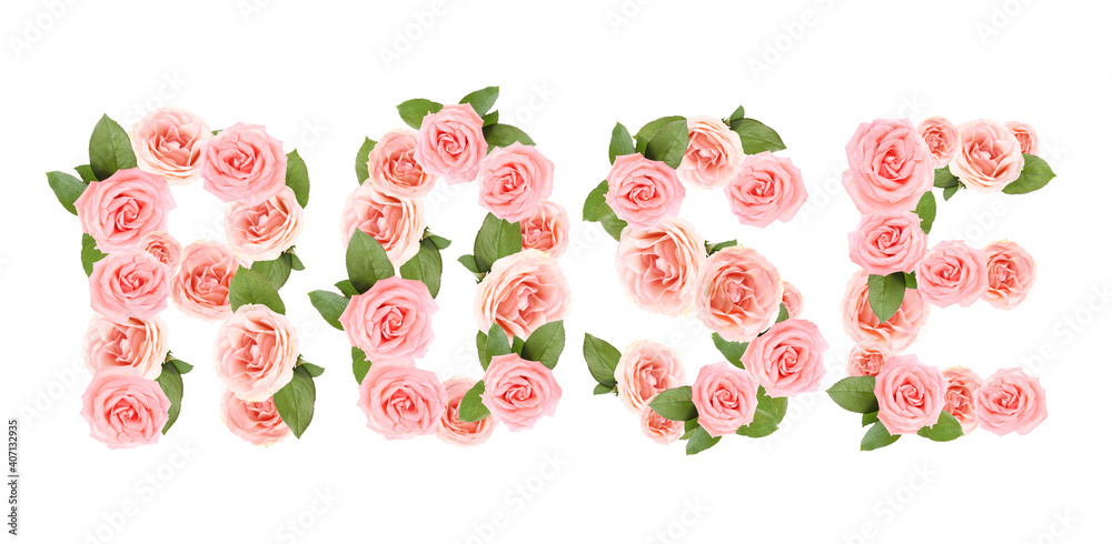 Word ROSE made of beautiful flowers on white background