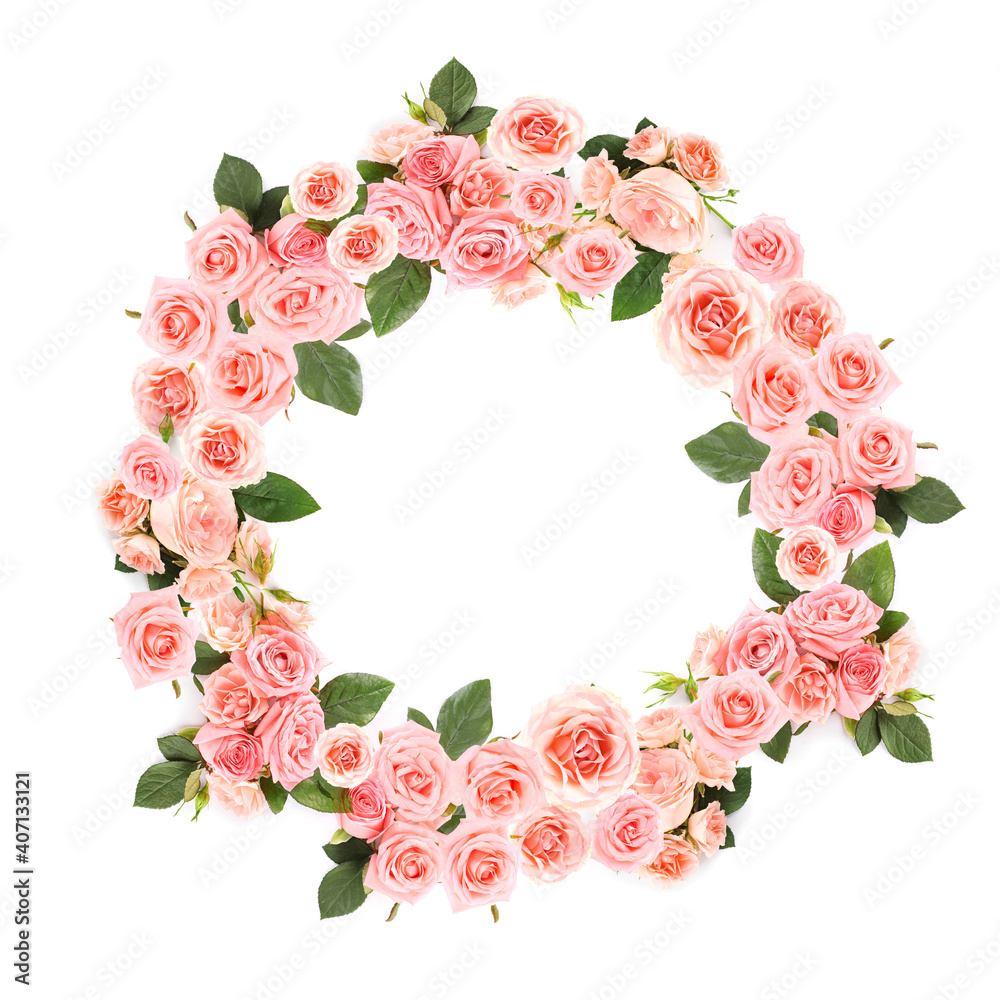 Frame made of beautiful pink roses on white background Frame made of beautiful pink roses on white background