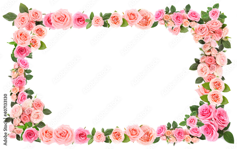 Frame made of beautiful pink roses on white background