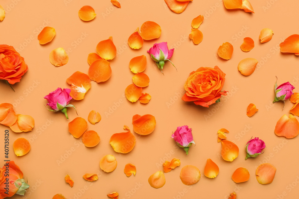 Beautiful rose flowers on color background Beautiful rose flowers on color background