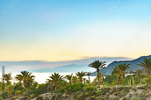 Palm trees and sea