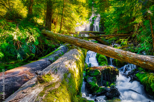 Upper Proxy Falls, Wilamette National Forest, Oregon photo