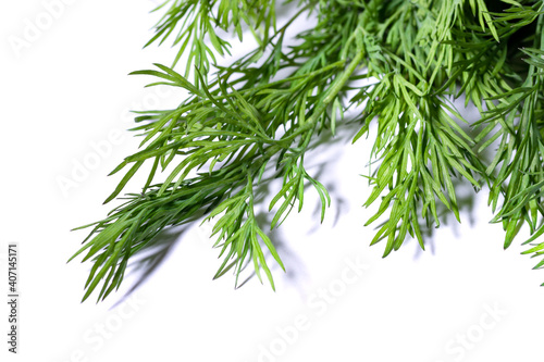 bunch fresh, green dill on a white background.