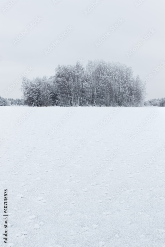 snow covered frozen lake in countryside snow covered frozen lake in countryside