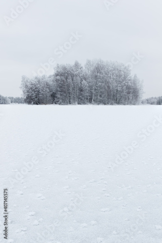 snow covered frozen lake in countryside © Michael Niessen