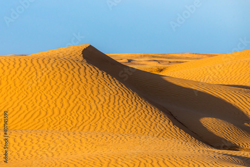 Huge dunes of the desert. Beautiful structures of sandy barkhan or sand-dune. Waves by wind on sand surface