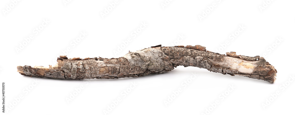 Old dry tree branch isolated on white Old dry tree branch isolated on white