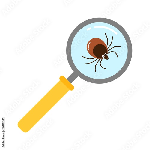 Vector realistic isolated ixodes tick insect with magnifier glass for decoration and covering on the transparent background. Cartoon style