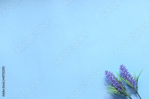 Top view of purple artificial lavender on blue background