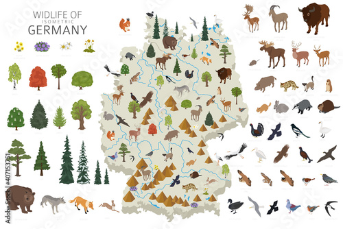 Isometric 3d design of Germany wildlife. Animals, birds and plants constructor elements isolated on white set. Build your own geography infographics collection. © a7880ss