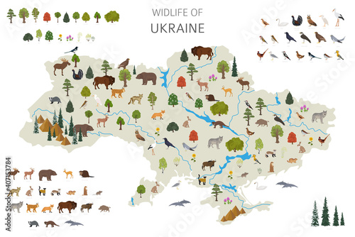 Flat design of Ukraina wildlife. Animals, birds and plants constructor elements isolated on white set. Build your own geography infographics collection