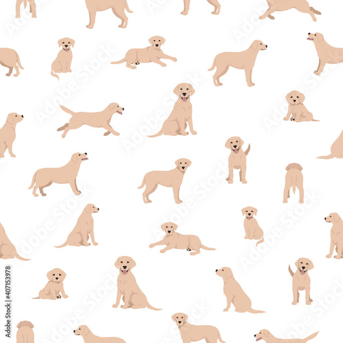 Labrador retriever dogs in different poses and coat colors. Seamless pattern.