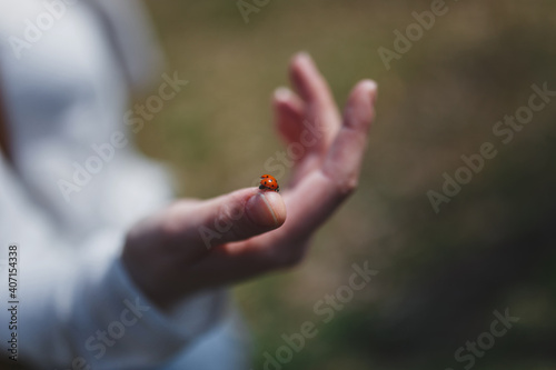 Coccinellidae on a man walking