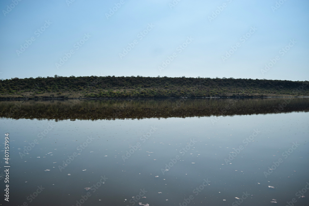 Symmetrical reflection in the water at Lake Magadi, Kenya